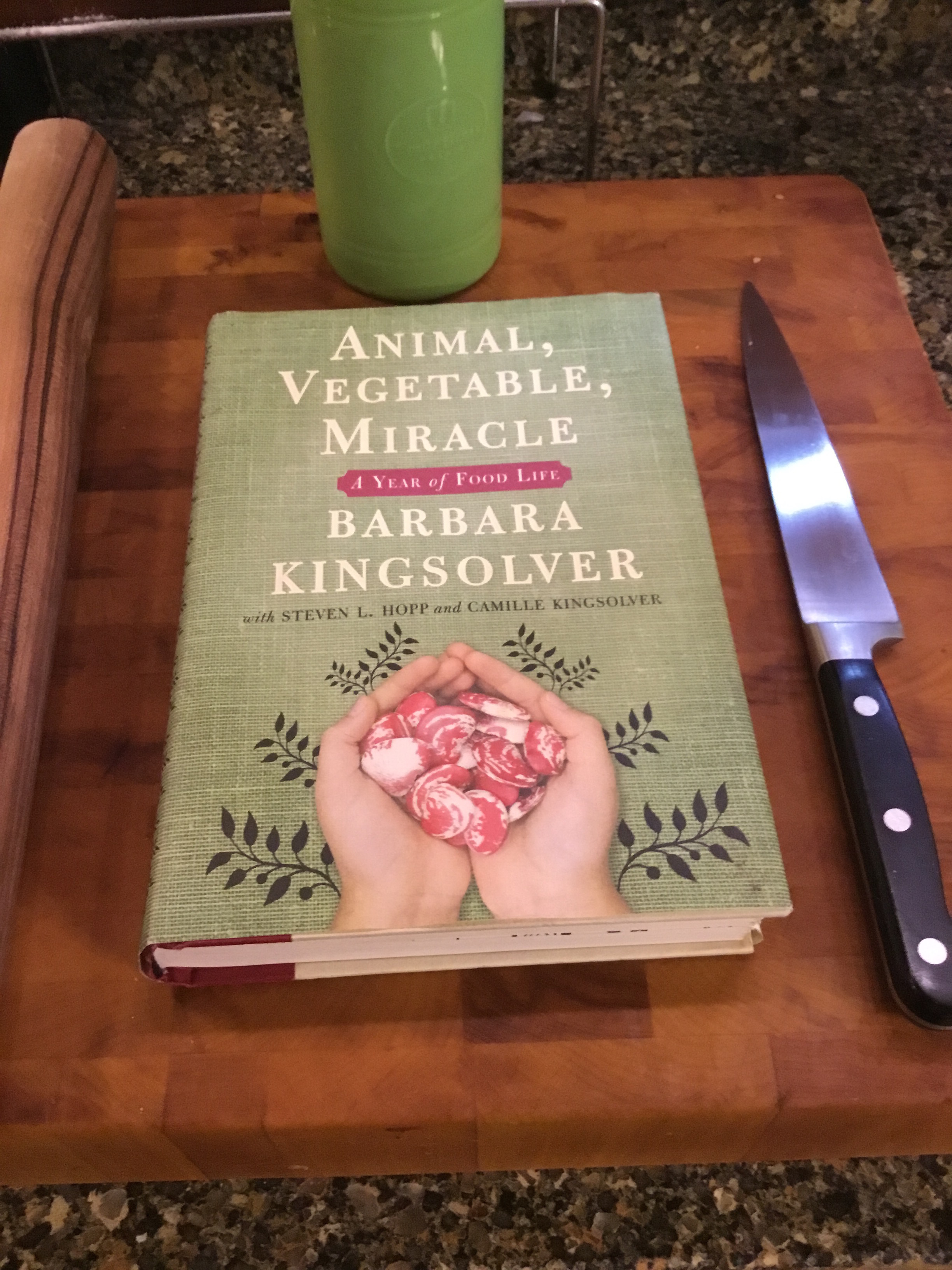 Kingsolver Book